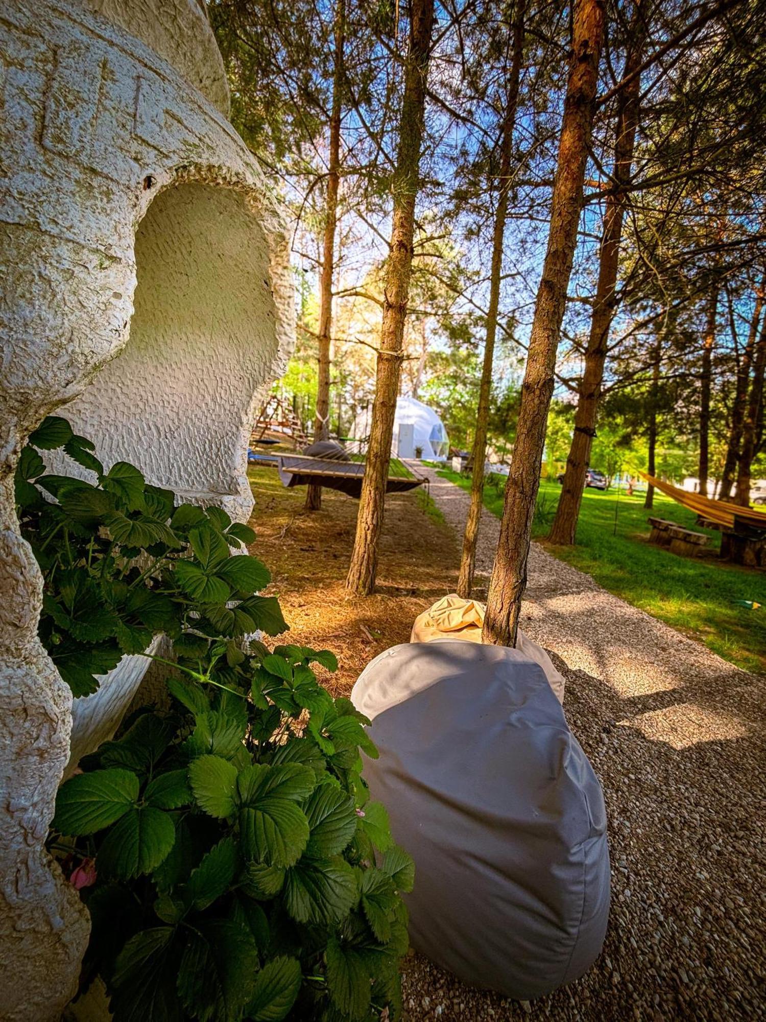 Glamping Pod Orlem Hotel Cedynia Luaran gambar